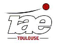 IAE Toulouse